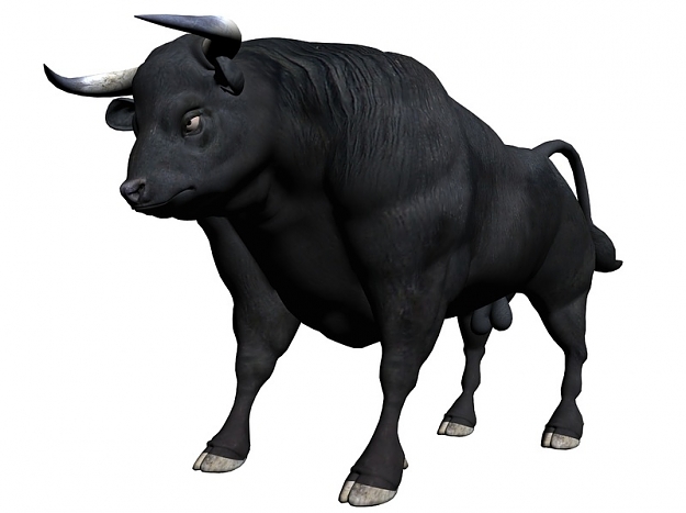 Click to Enlarge

Name: bull.jpg
Size: 61 KB