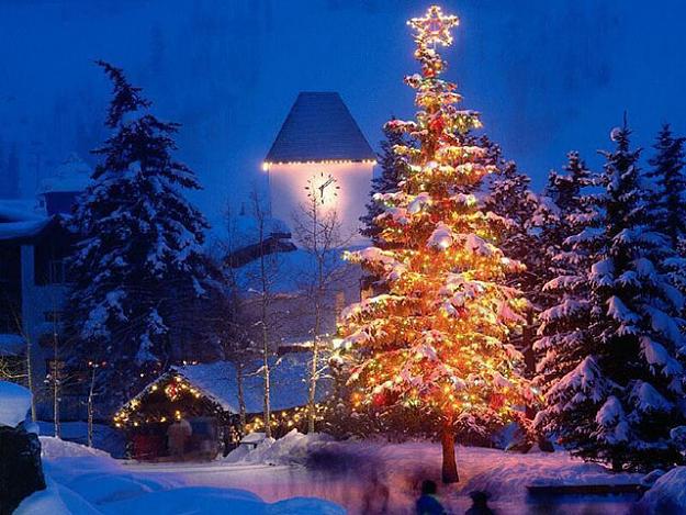 Click to Enlarge

Name: x-mas.jpg
Size: 113 KB