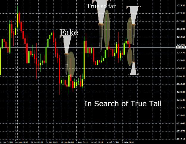 Click to Enlarge

Name: Spike-Tail.jpg
Size: 301 KB