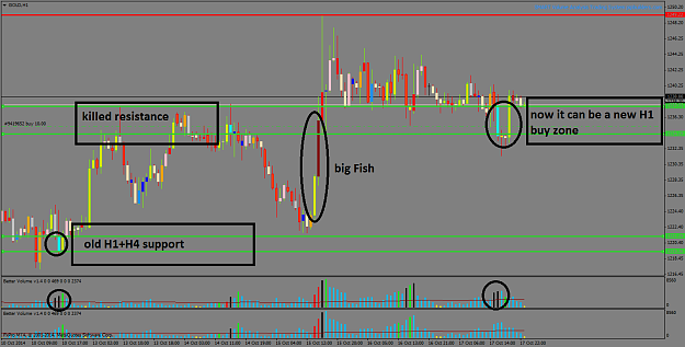 Click to Enlarge

Name: GOLDH1.png
Size: 42 KB