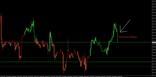 Click to Enlarge

Name: stoploss hunting.png
Size: 28 KB