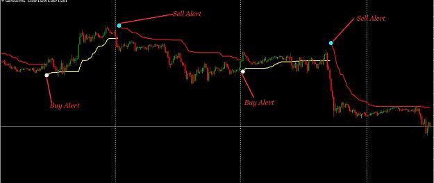 Click to Enlarge

Name: Alert.jpg
Size: 84 KB