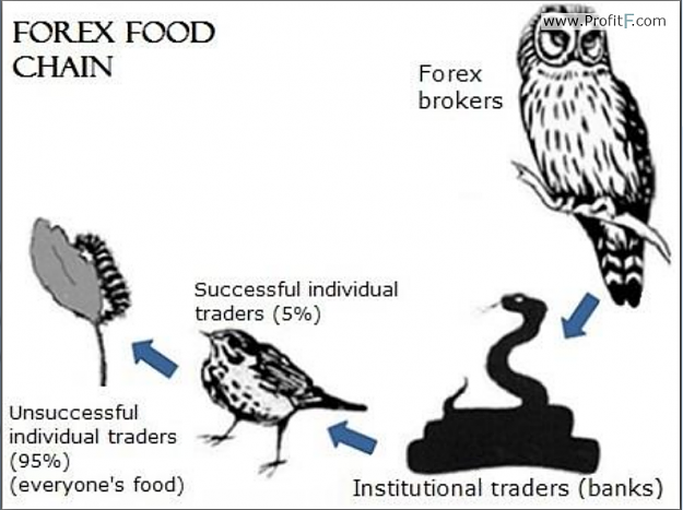 Click to Enlarge

Name: Funny-forex-foodchain.png
Size: 274 KB