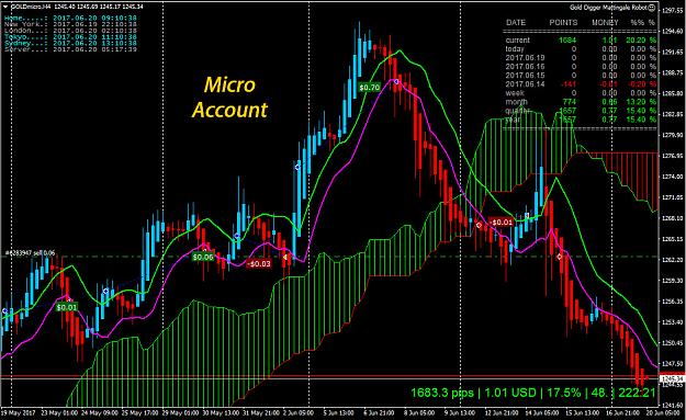 Click to Enlarge

Name: GOLDMicro.jpg
Size: 343 KB