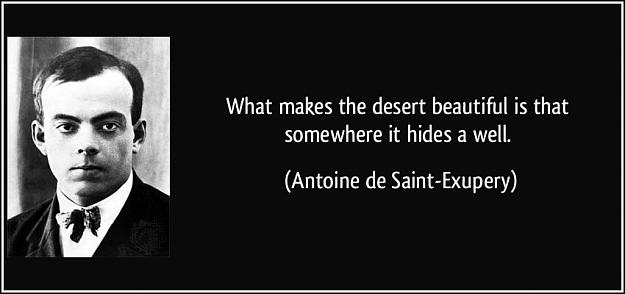 Click to Enlarge

Name: quote-what-makes-the-desert-beautiful-is-that-somewhere-it-hides-a-well-antoine-de-saint-exupery.jpg
Size: 58 KB