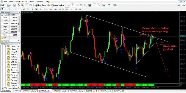 Click to Enlarge

Name: golds.jpg
Size: 210 KB