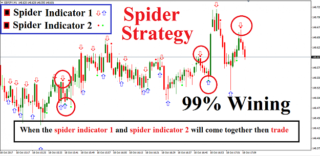 Click to Enlarge

Name: 1.Intro of spider strategy.png
Size: 66 KB