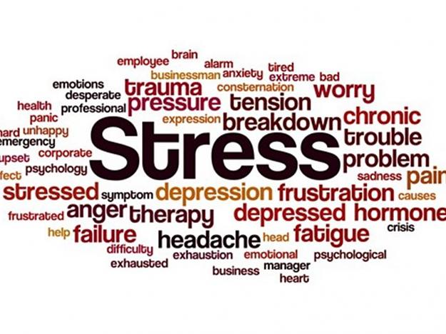 Click to Enlarge

Name: stress words effects.jpg
Size: 72 KB