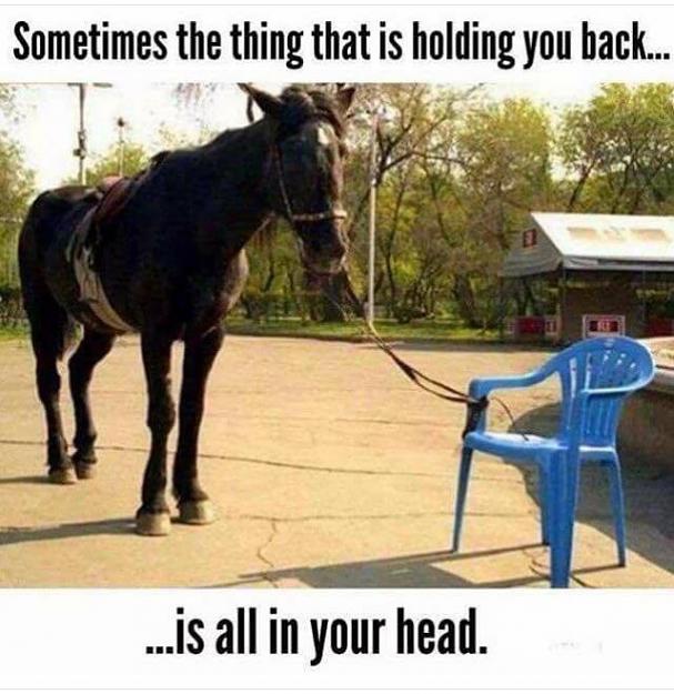 Click to Enlarge

Name: 5b7b8c3cf0f6c.jpeg
Size: 114 KB
