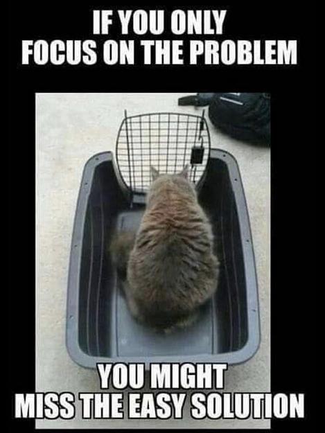Click to Enlarge

Name: 67257741_2321341157919556_2140494370409807872_n.jpg
Size: 65 KB