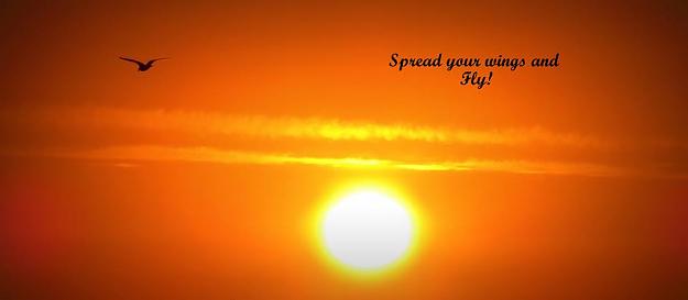 Click to Enlarge

Name: 58676712_2416374015053834_8543952199682621440_n.jpg
Size: 20 KB