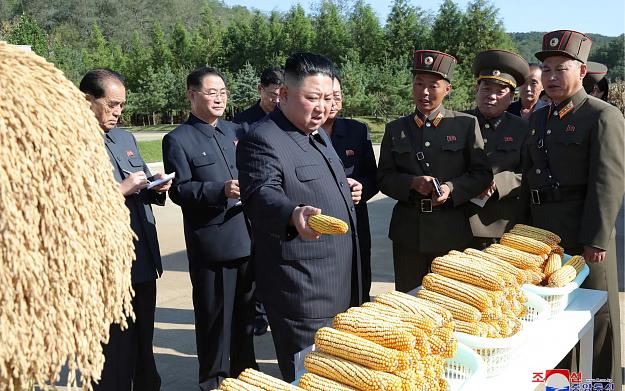Click to Enlarge

Name: Kim Jong-un corn.jpg
Size: 720 KB