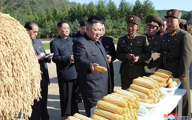 Click to Enlarge

Name: Kim Jong-un corn.jpg
Size: 720 KB