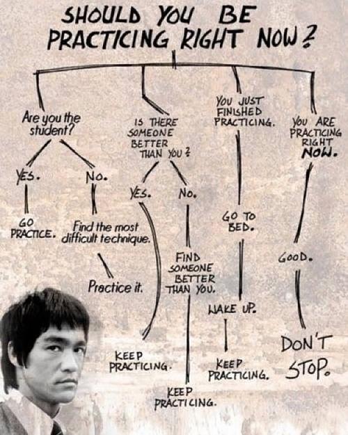 Click to Enlarge

Name: bruce-lee-practice.JPG
Size: 160 KB