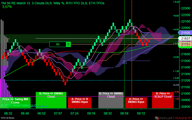 Click to Enlarge

Name: DOW 03-20 (50 Renko) 2020_03_13 (09_22_30).png
Size: 80 KB