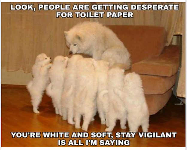 Click to Enlarge

Name: Puppy.png
Size: 368 KB