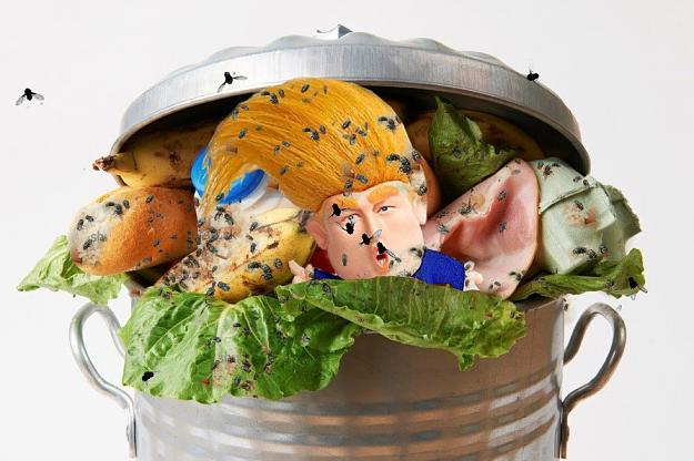 Click to Enlarge

Name: Waste.jpg
Size: 102 KB