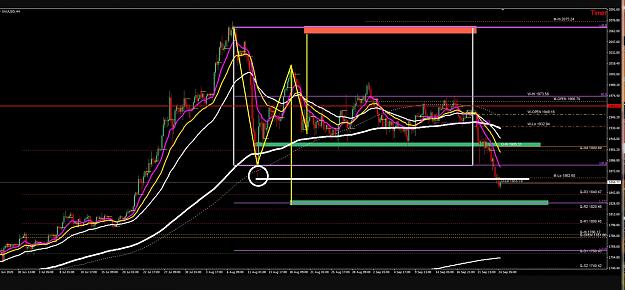 Click to Enlarge

Name: 6 daily gbp.jpg
Size: 332 KB