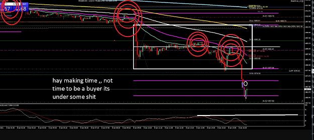 Click to Enlarge

Name: 6 daily gbp.jpg
Size: 348 KB
