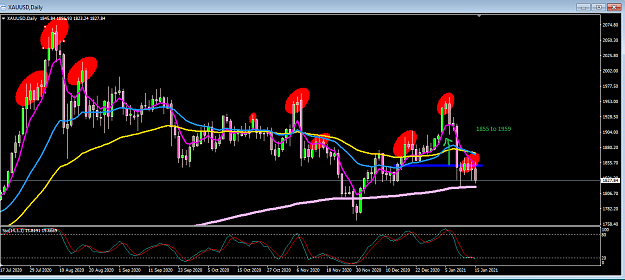 Click to Enlarge

Name: Daily HNS.png
Size: 36 KB
