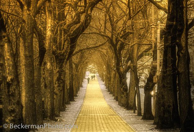 Click to Enlarge

Name: streets-of-gold-beckermanphoto.jpg
Size: 468 KB