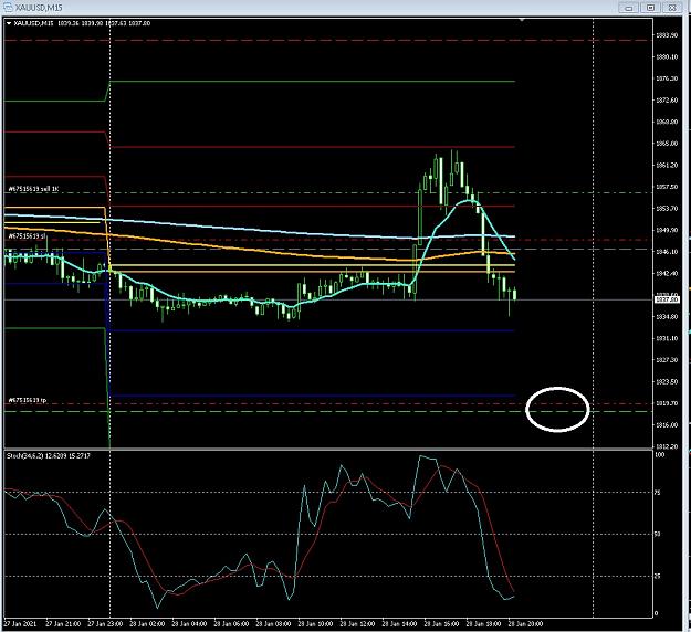 Click to Enlarge

Name: 6 daily gbp.jpg
Size: 218 KB
