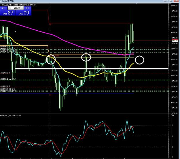 Click to Enlarge

Name: 6 daily gbp.jpg
Size: 285 KB