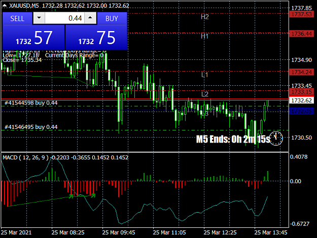 Click to Enlarge

Name: XAUUSDM5.png
Size: 47 KB