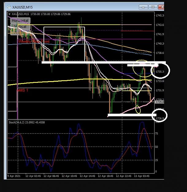 Click to Enlarge

Name: 6 daily gbp.jpg
Size: 128 KB