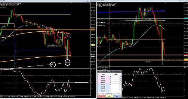 Click to Enlarge

Name: 6 gold 1.jpg
Size: 397 KB
