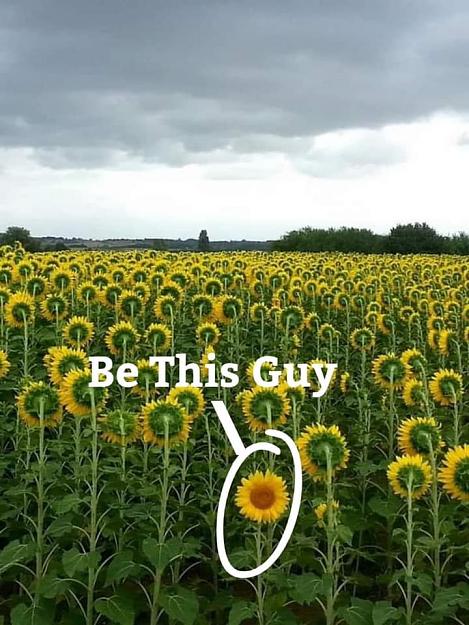 Click to Enlarge

Name: individualist-sunflower.jpg
Size: 83 KB