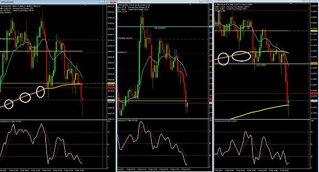 Click to Enlarge

Name: 6 gold 1.jpg
Size: 421 KB