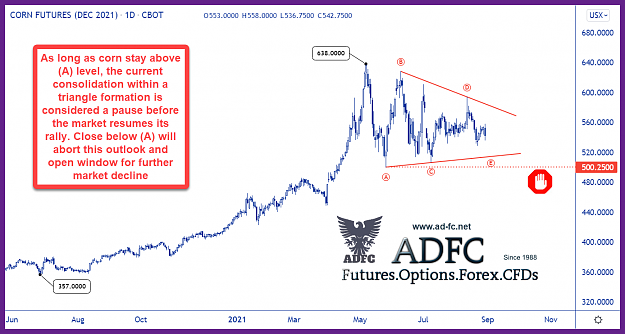 Click to Enlarge

Name: corn dec21 daily.png
Size: 136 KB