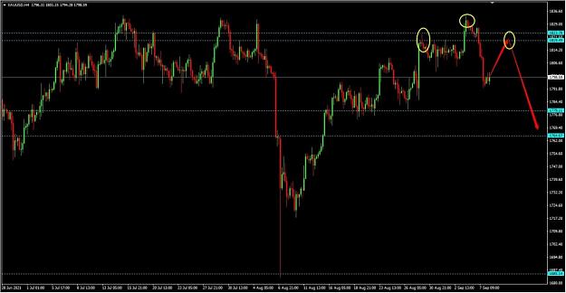 Click to Enlarge

Name: gold-next-move.jpg
Size: 49 KB