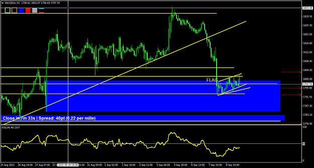 Click to Enlarge

Name: XAUUSDmH1.png
Size: 34 KB