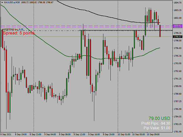 Click to Enlarge

Name: XAUUSD.aM30.png
Size: 39 KB