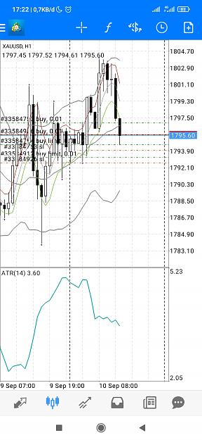 Click to Enlarge

Name: Screenshot_2021-09-10-17-22-24-746_net.metaquotes.metatrader4.jpg
Size: 583 KB
