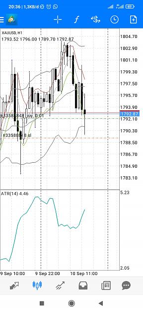 Click to Enlarge

Name: Screenshot_2021-09-10-20-36-43-685_net.metaquotes.metatrader4.jpg
Size: 546 KB