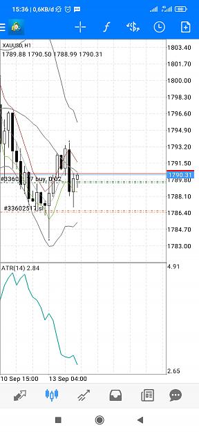 Click to Enlarge

Name: Screenshot_2021-09-13-15-36-34-975_net.metaquotes.metatrader4.jpg
Size: 480 KB