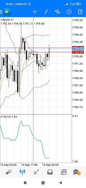 Click to Enlarge

Name: Screenshot_2021-09-14-14-25-01-445_net.metaquotes.metatrader4.jpg
Size: 509 KB