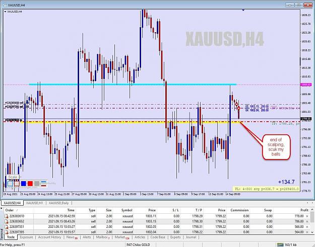 Click to Enlarge

Name: gold 008.jpg
Size: 115 KB