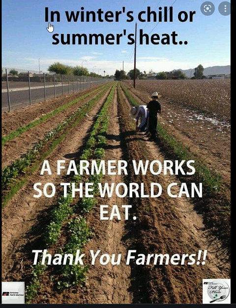 Click to Enlarge

Name: farmer thanks.png
Size: 884 KB