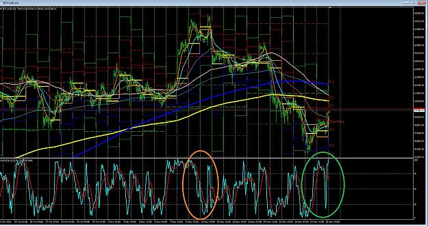 Click to Enlarge

Name: 6 gold 1.jpg
Size: 558 KB