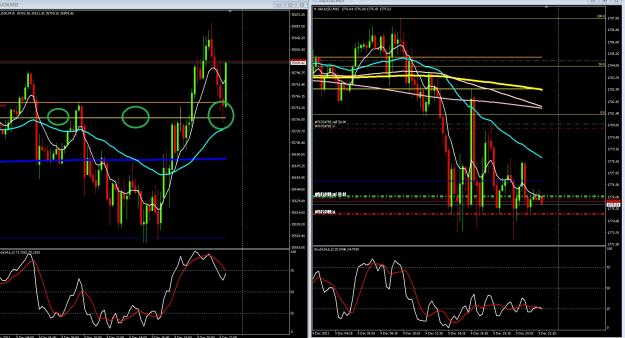 Click to Enlarge

Name: 6 gold 2.jpg
Size: 400 KB