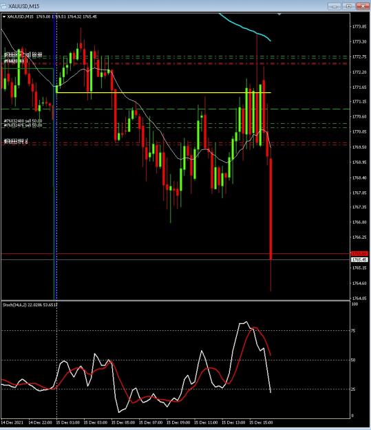 Click to Enlarge

Name: 6 gold 2.jpg
Size: 183 KB