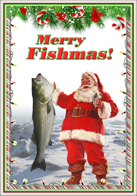 Click to Enlarge

Name: fishmas.png
Size: 1.6 MB