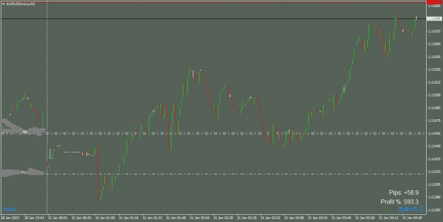 Click to Enlarge

Name: EURUSDmicroM1_31012022.png
Size: 21 KB
