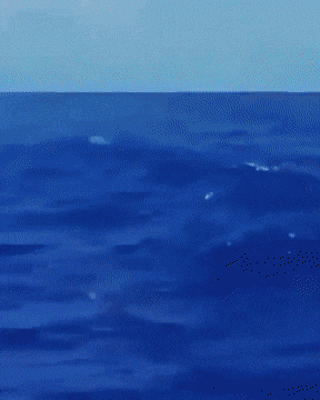 Click to Enlarge

Name: swardfish2.gif
Size: 4.4 MB