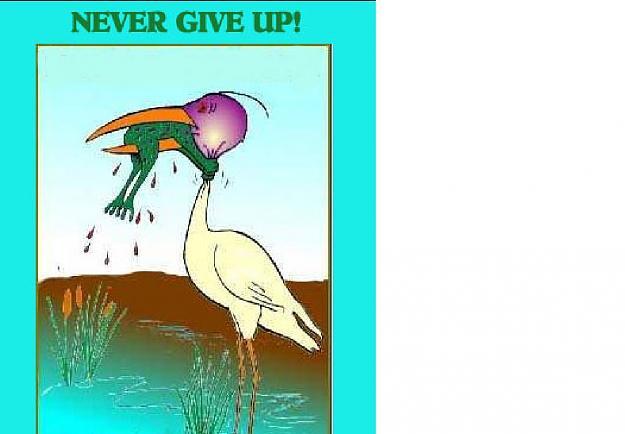 Click to Enlarge

Name: never give up.jpg
Size: 29 KB