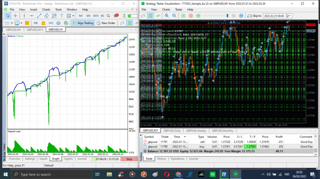 Click to Enlarge

Name: Roboforex MT5 EA.png
Size: 159 KB
